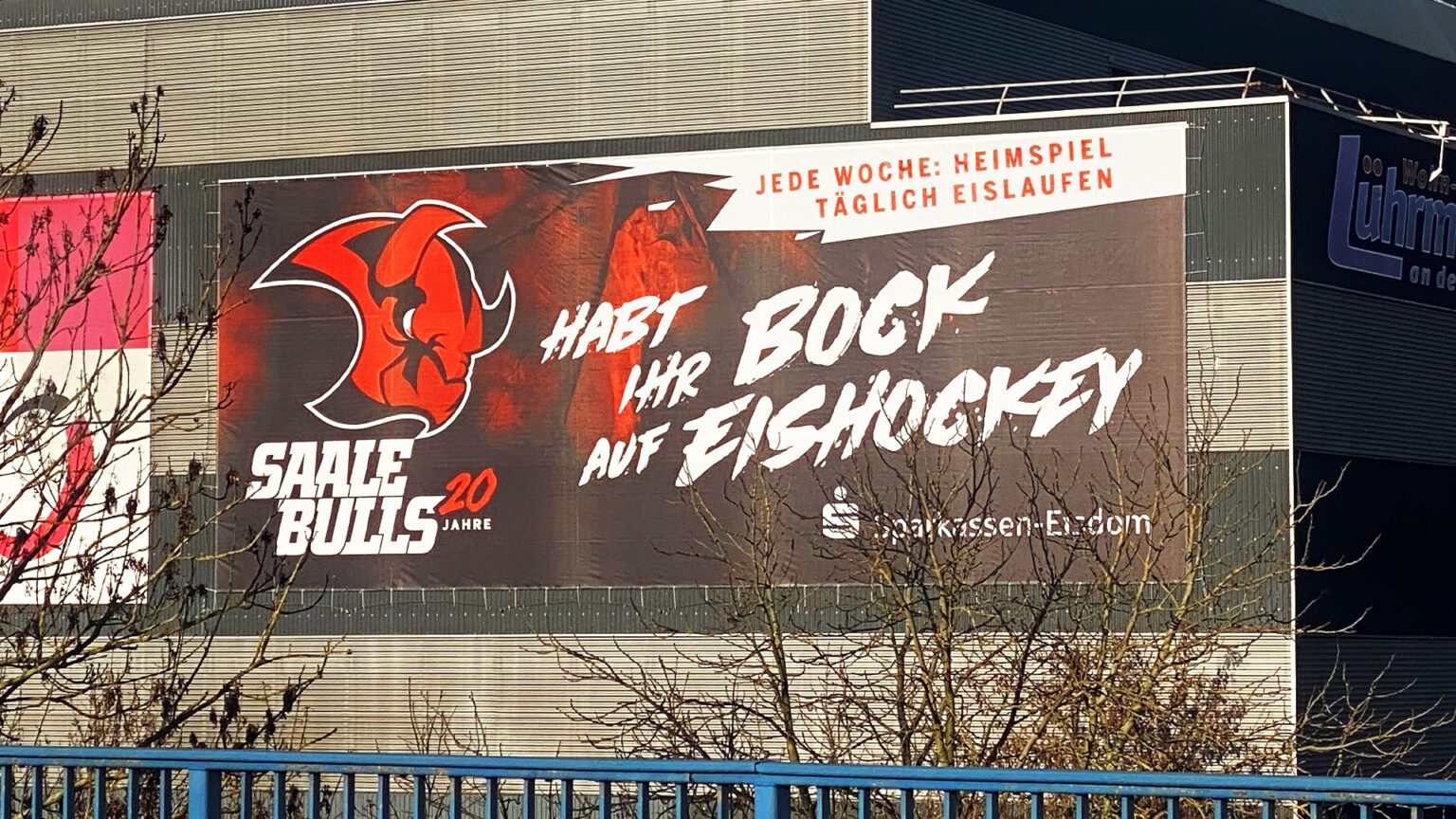 Brandneues Bulls Banner Saale Bulls Mec Halle E V